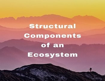 Structural Components of an Ecosystem