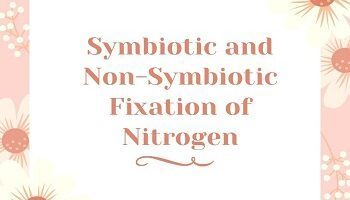 Symbiotic and Non-Symbiotic Fixation of Nitrogen