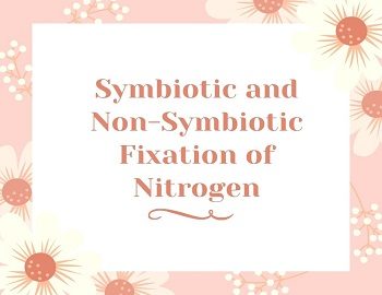 Symbiotic and Non-Symbiotic Fixation of Nitrogen