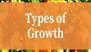 Types of Growth