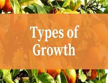 Types of Growth