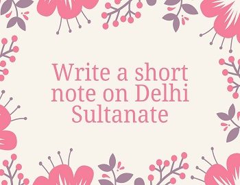 Write a short note on Delhi Sultanate