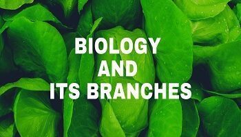 Biology and its Branches