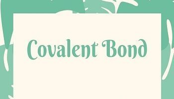 Covalent Bond