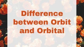 Difference between Orbit and Orbital