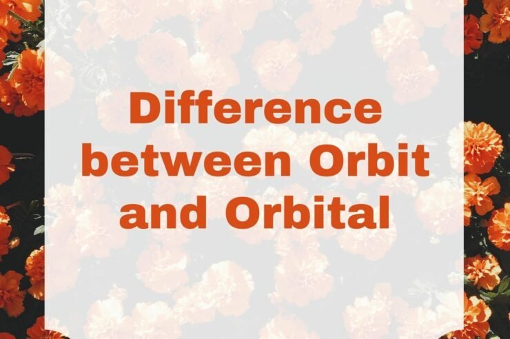 Difference between Orbit and Orbital