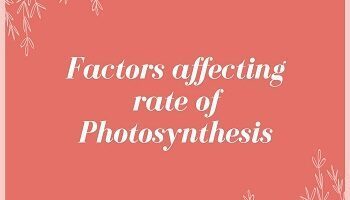 Factors affecting rate of Photosynthesis