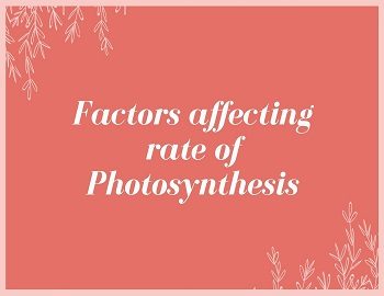 Factors affecting rate of Photosynthesis