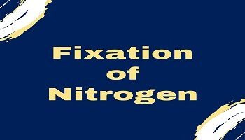 Fixation of Nitrogen