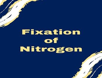 Fixation of Nitrogen