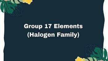 Halogen Family