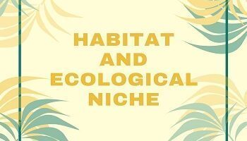 Habitat and Ecological Niche