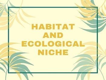Habitat and Ecological Niche
