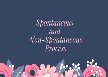 Spontaneous and Non-Spontaneous Process