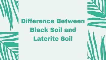 Difference Between Black Soil and Laterite Soil