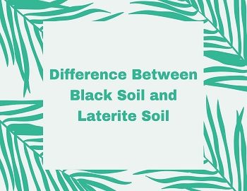 Difference Between Black Soil and Laterite Soil