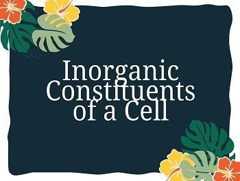 Inorganic Constituents of a Cell