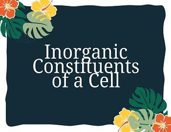 Inorganic Constituents of a Cell