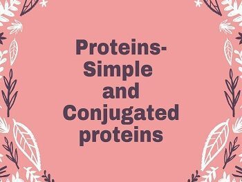 Proteins- Simple and Conjugated proteins