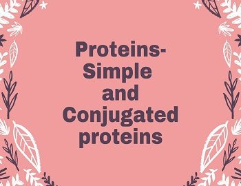 Proteins- Simple and Conjugated proteins
