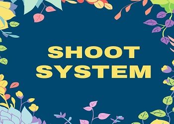 Shoot System