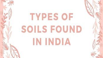Types of Soils Found in India