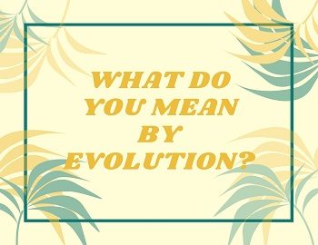 What do you mean by Evolution?