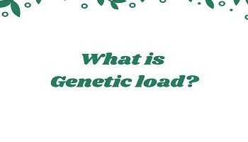What is Genetic load