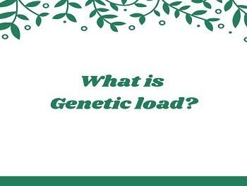 What is Genetic load