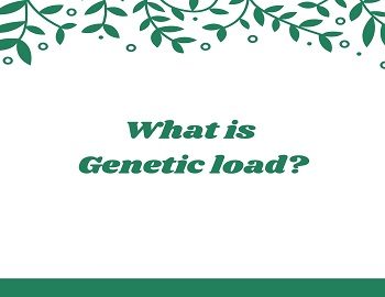 What is Genetic load