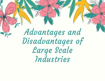 Advantages and Disadvantages of Large Scale Industries