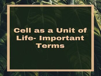 Cell as a Unit of Life- Important Terms