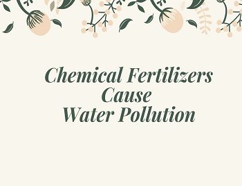 Chemical Fertilizers Cause Water Pollution