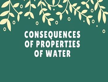 Consequences of Properties of Water