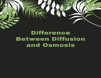 Difference Between Diffusion and Osmosis