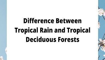 Tropical Rain and Tropical Deciduous Forests