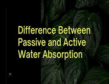 Difference Between Passive and Active Water Absorption