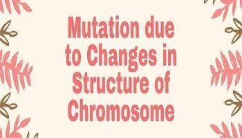 Mutation due to Changes in Structure of Chromosome