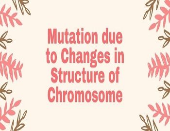 Mutation due to Changes in Structure of Chromosome