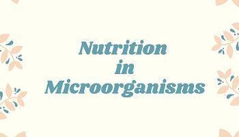 Nutrition in Microorganisms