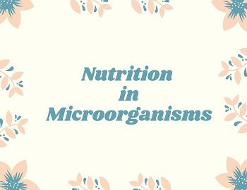 Nutrition in Microorganisms