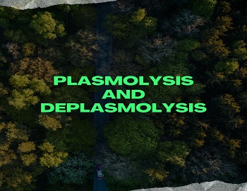 Plasmolysis and Deplasmolysis
