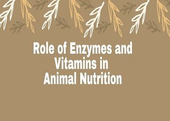 Role of Enzymes and Vitamins in Animal Nutrition