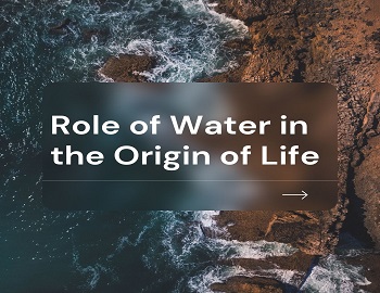Role of Water in the Origin of Life
