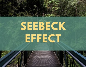 Seebeck Effect
