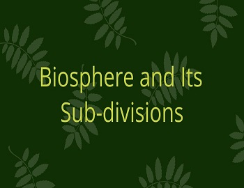 Biosphere and Its Sub-divisions