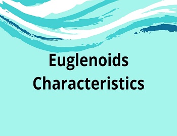 Euglenoids Characteristics