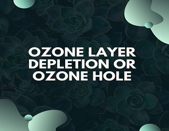 Ozone Layer Depletion or Ozone Hole