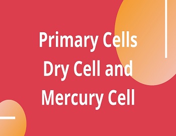 Dry Cell and Mercury Cell