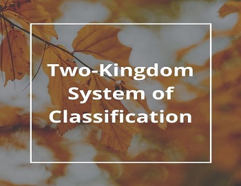 Two-Kingdom System of Classification